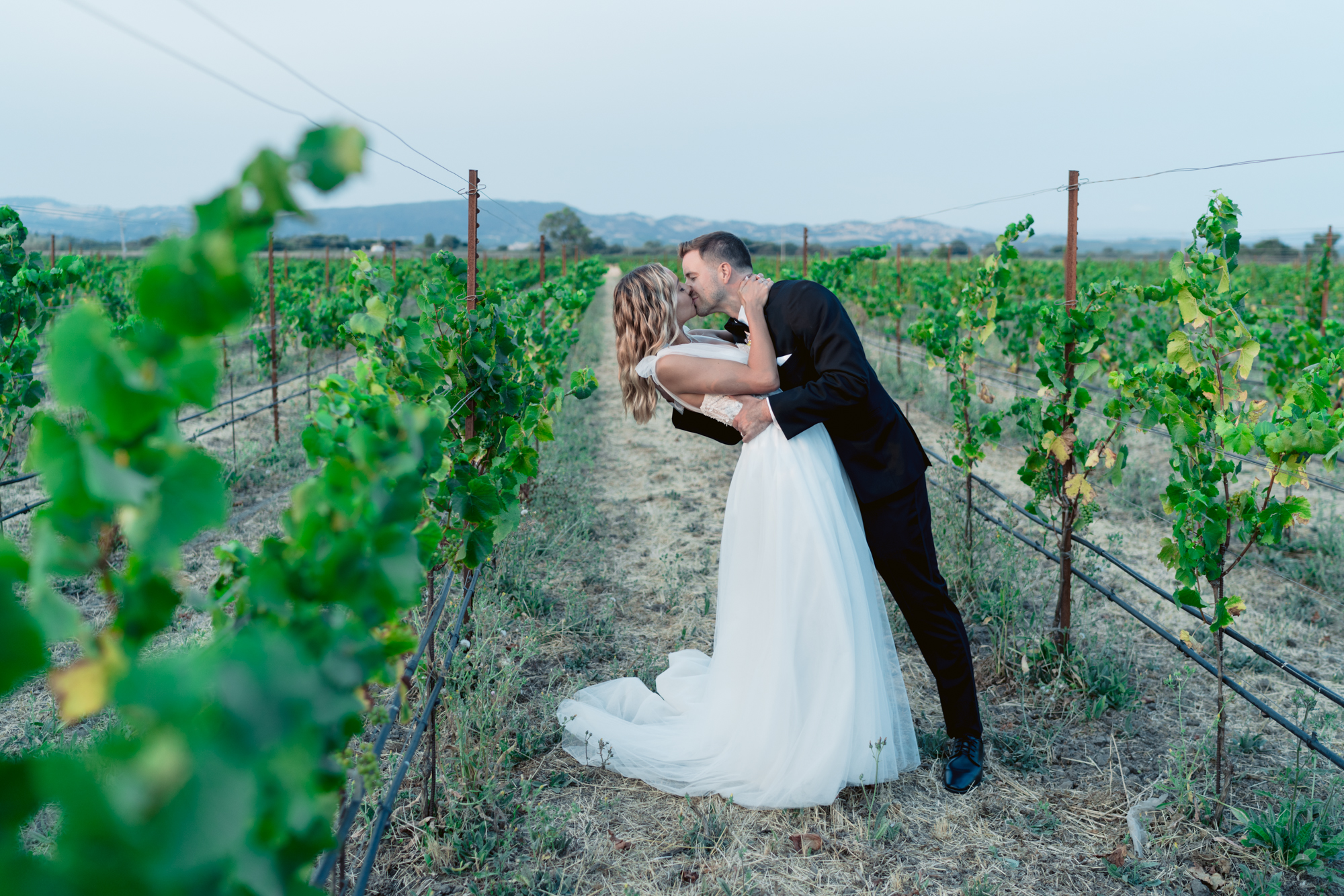 sonoma vinyard wedding